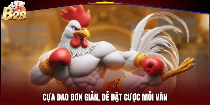 Cựa dao đơn giản, dễ đặt cược mỗi ván