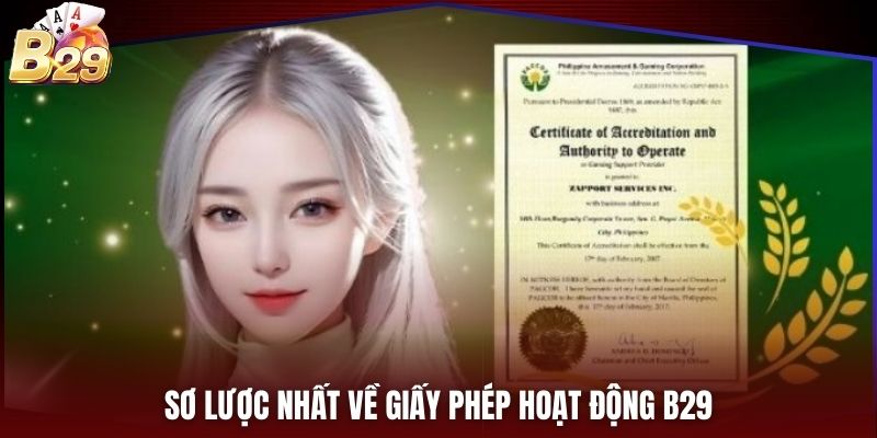 Sơ lược nhất về giấy phép hoạt động B29