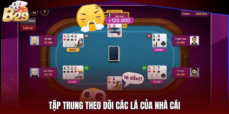 Tập trung theo dõi các lá của nhà cái